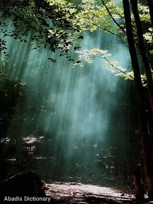 محوطه لنگر سرا